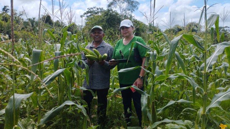 Agricultura convoca produtores rurais interessados  em fornecer gêneros alimentícios em Davinópolis